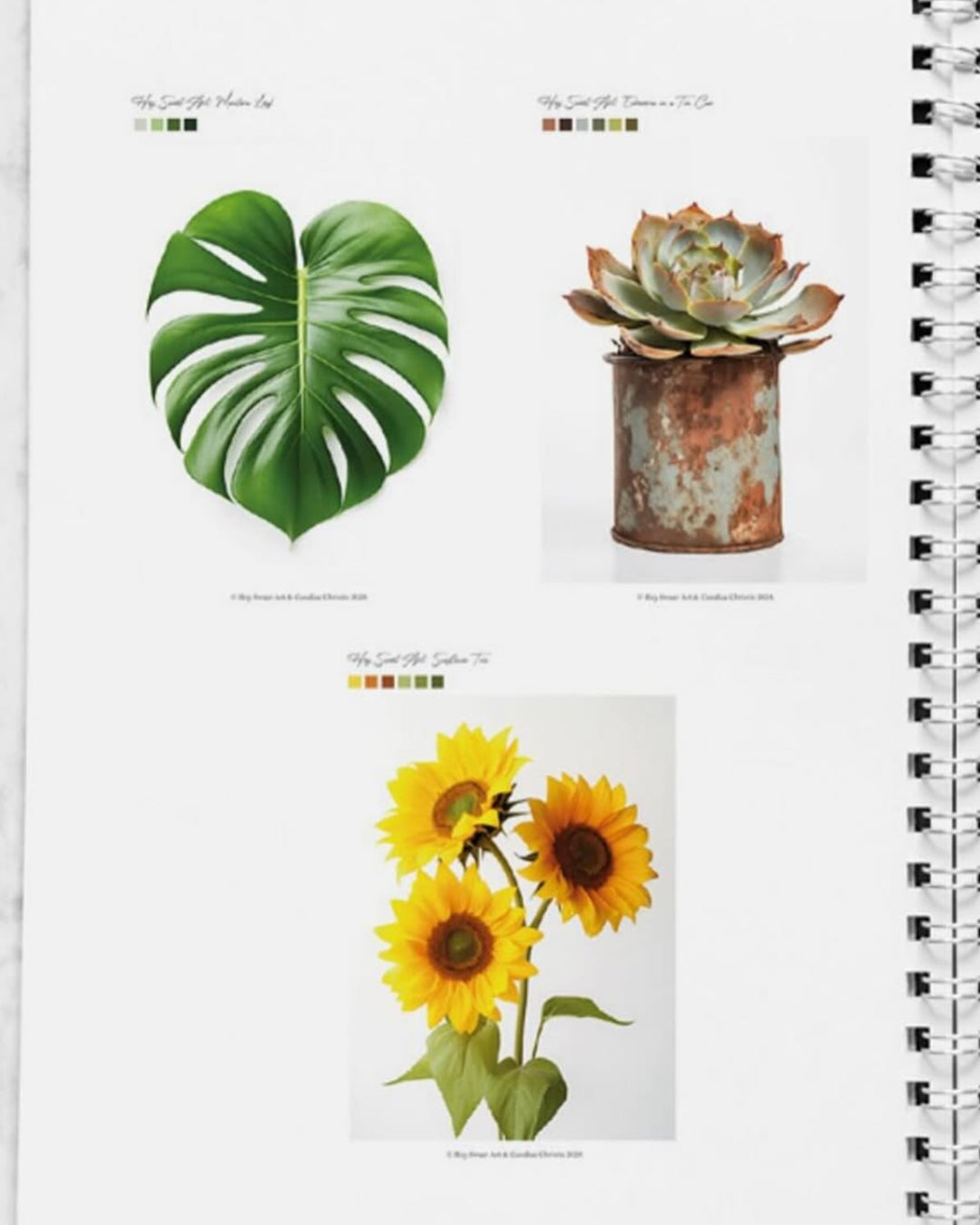 2024 Annual Watercolour Project Pack