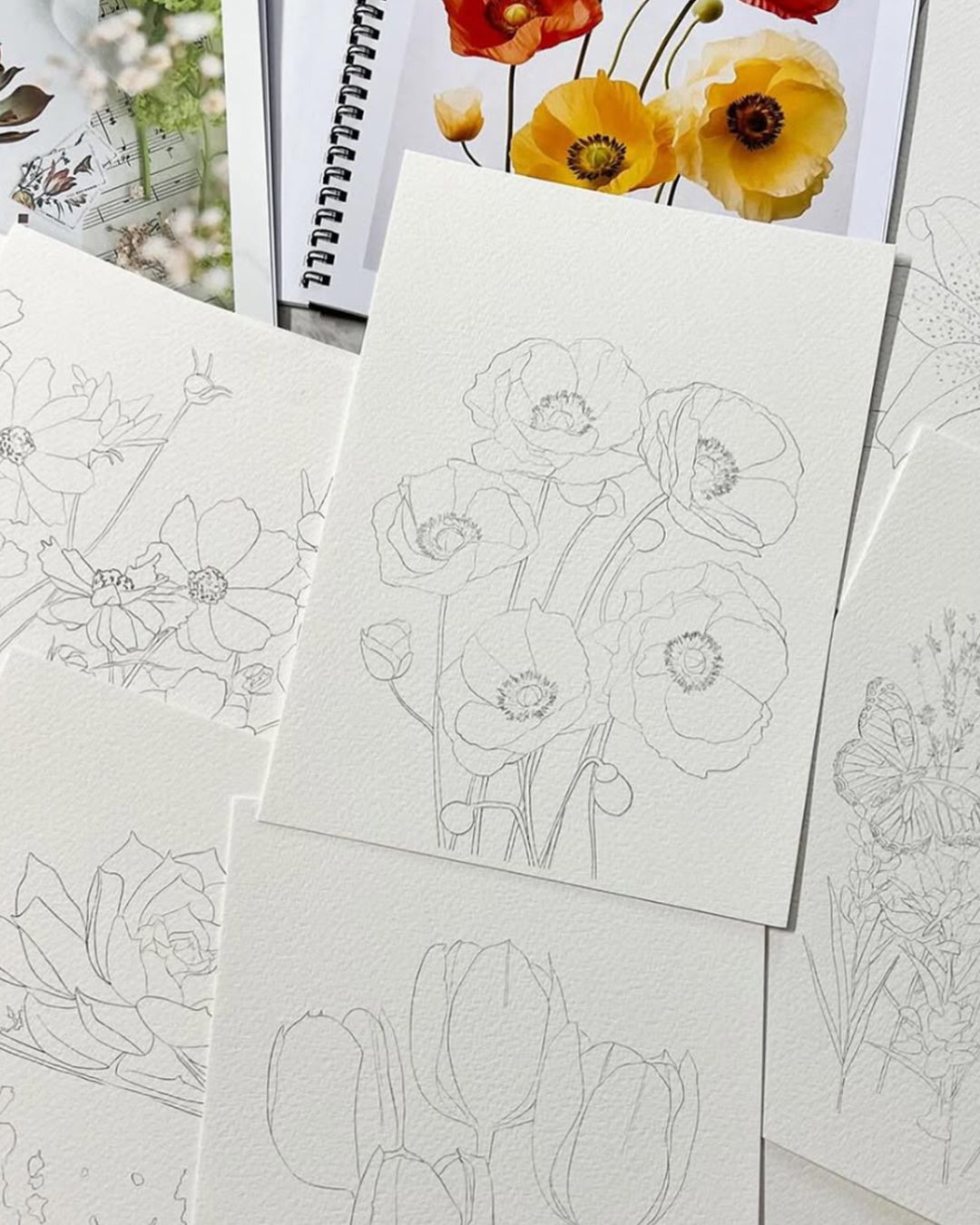 2024 Annual Watercolour Project Pack