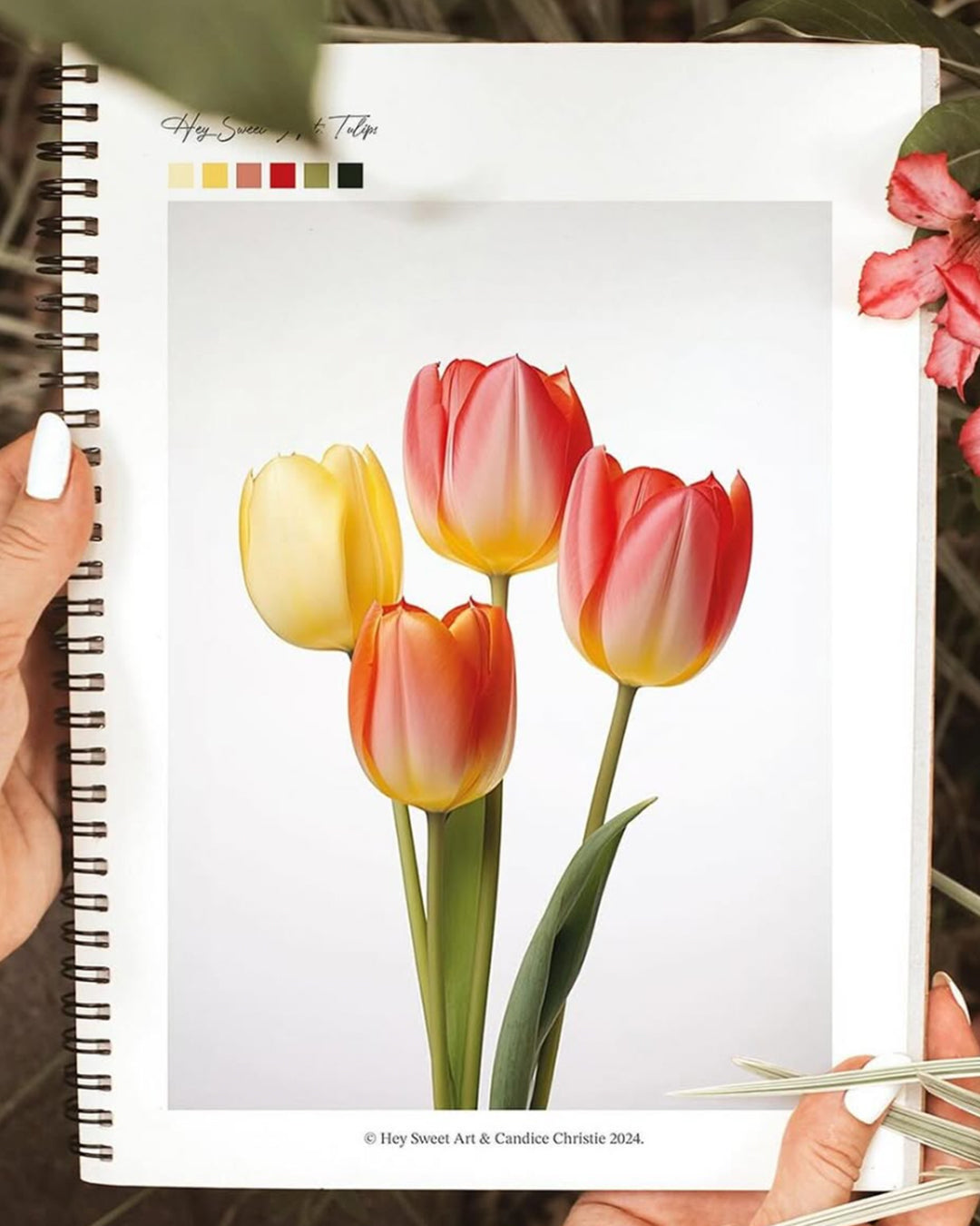 2024 Annual Watercolour Project Pack
