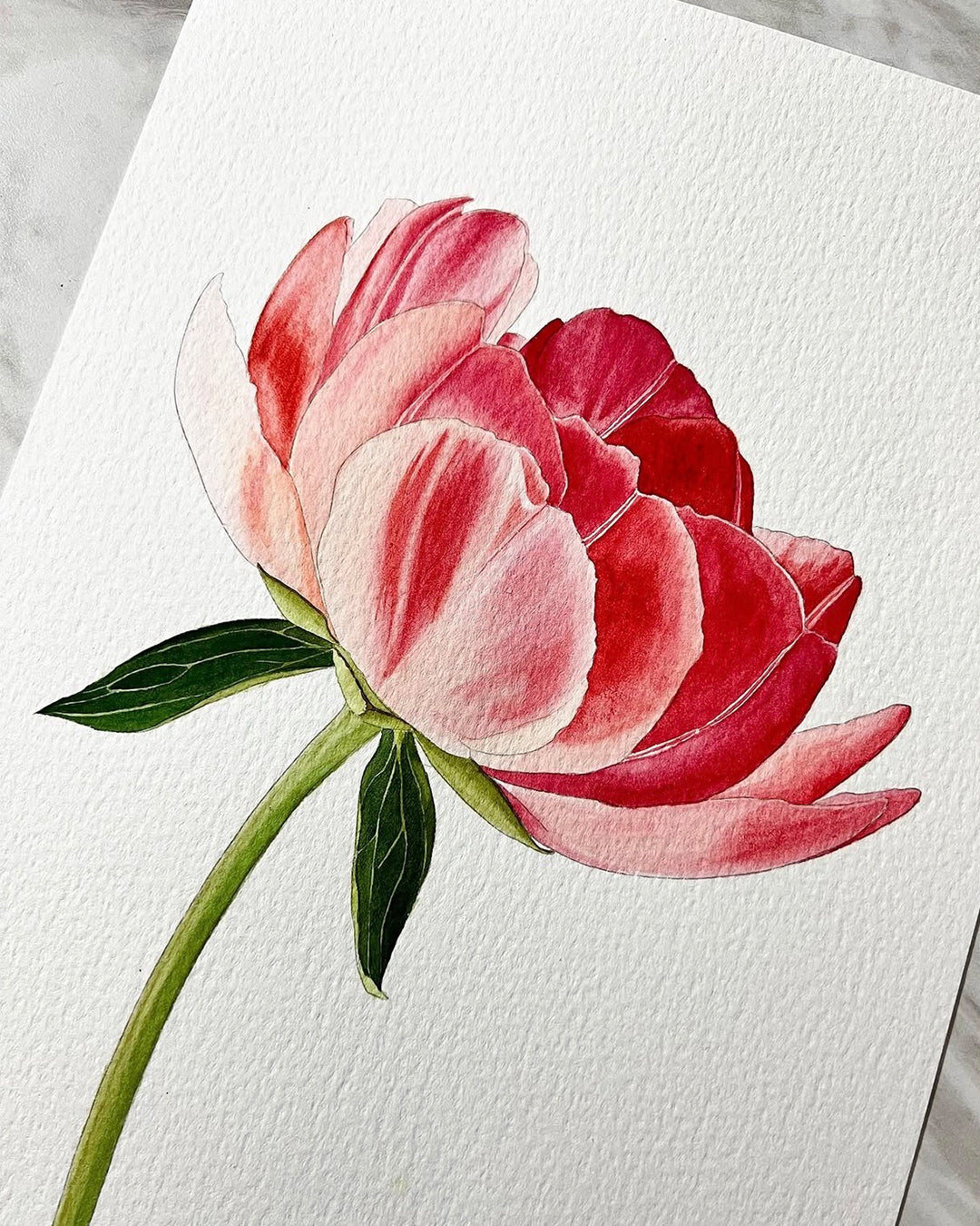 Project pack - Peony in Bloom 2