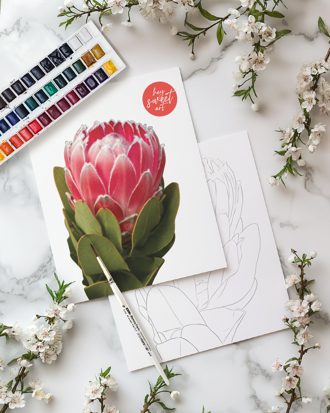 Protea in Watercolour Workshop (Beginner-Friendly)