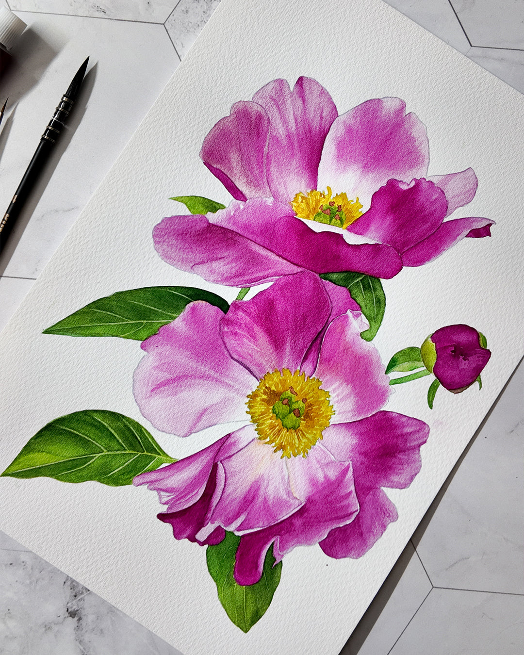 Project pack - Peony in Bloom 3