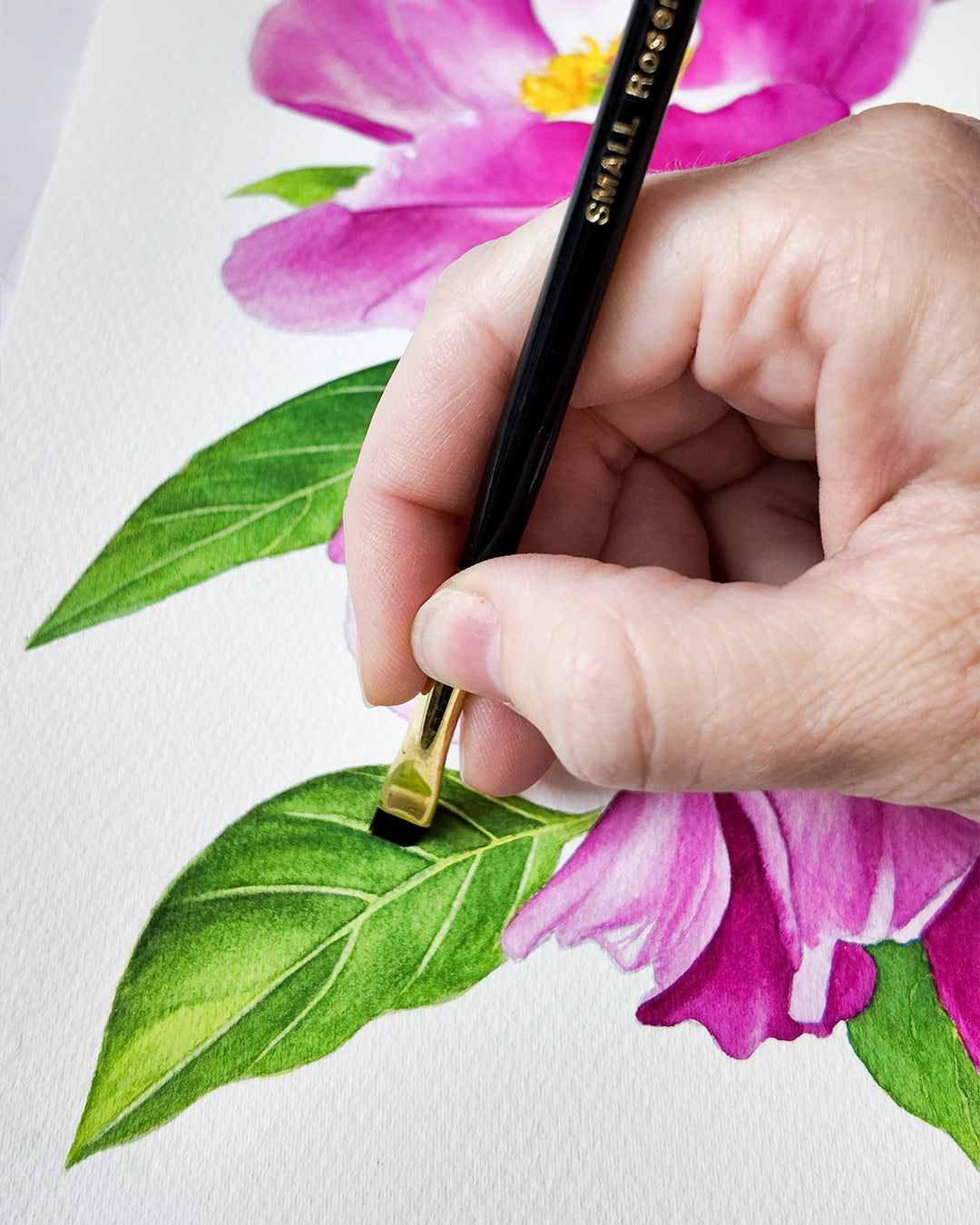 Project pack - Peony in Bloom 3