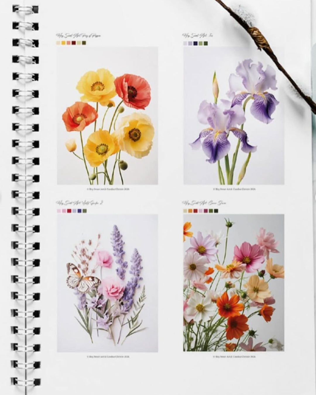 2024 Annual Watercolour Project Pack