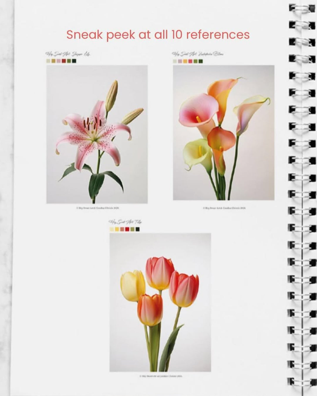 2024 Annual Watercolour Project Pack