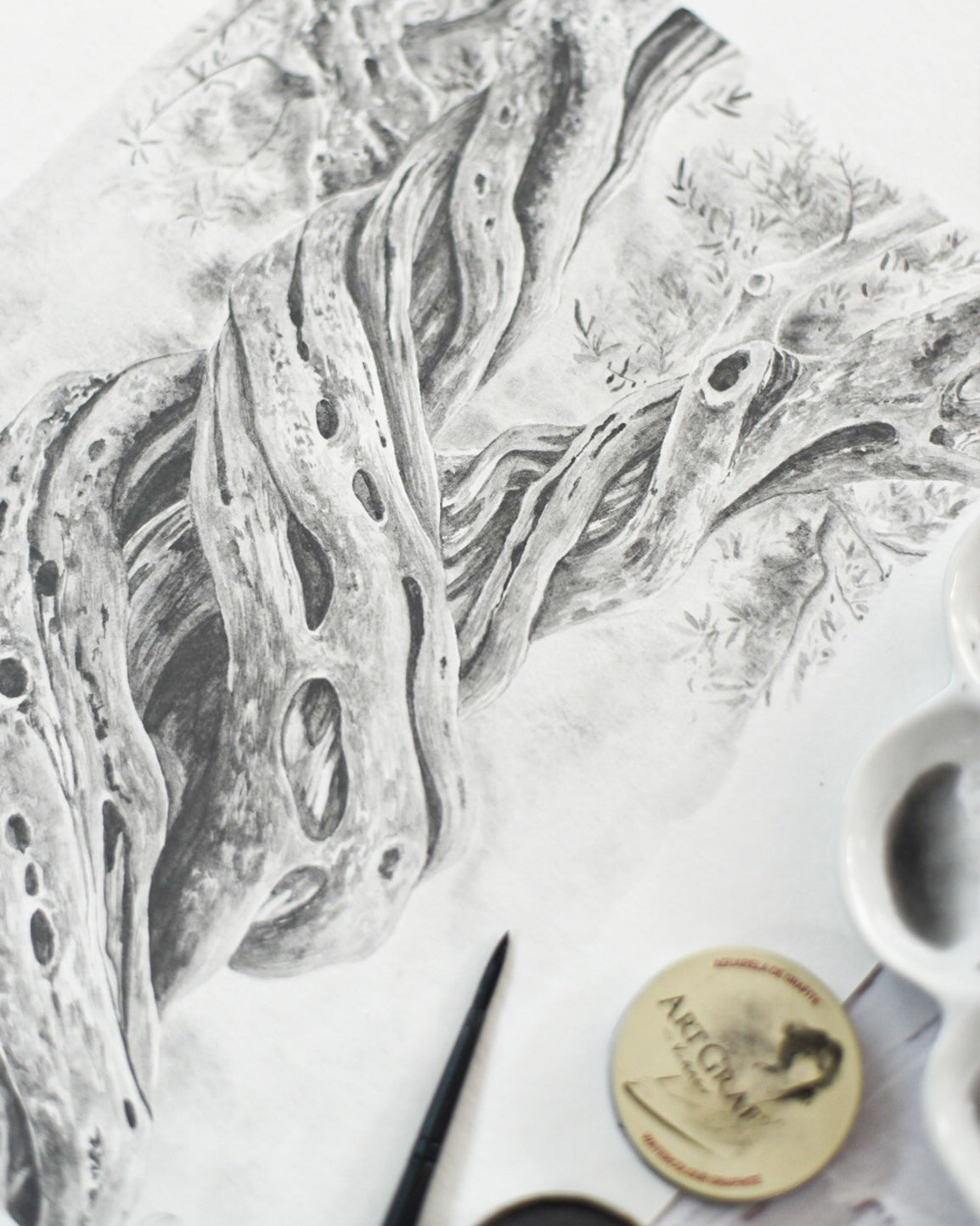ArtGraf Workshop Saturday, 13 June 2026 - 3 hour foundation workshop in watercolour graphite