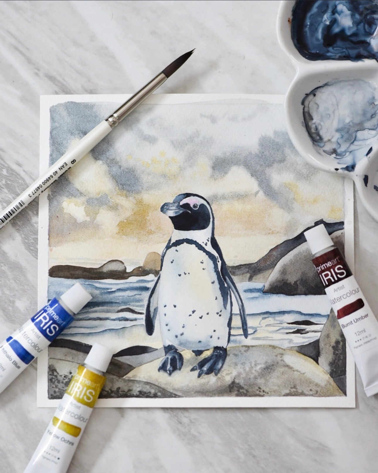 Project pack - Penguin on Rocks