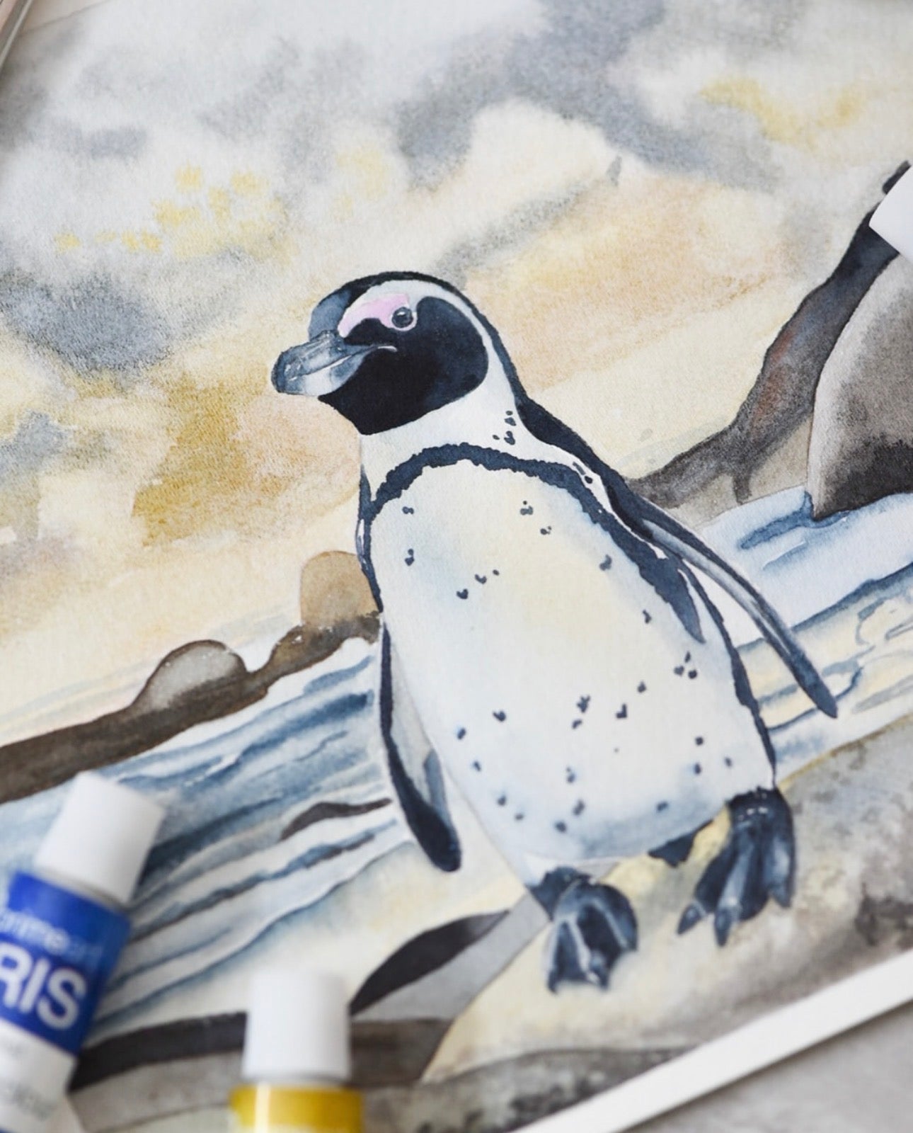Project pack - Penguin on Rocks