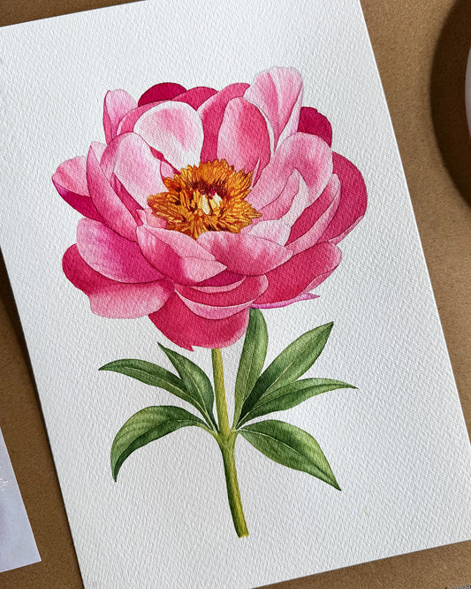 Project pack - Peony in Bloom 1