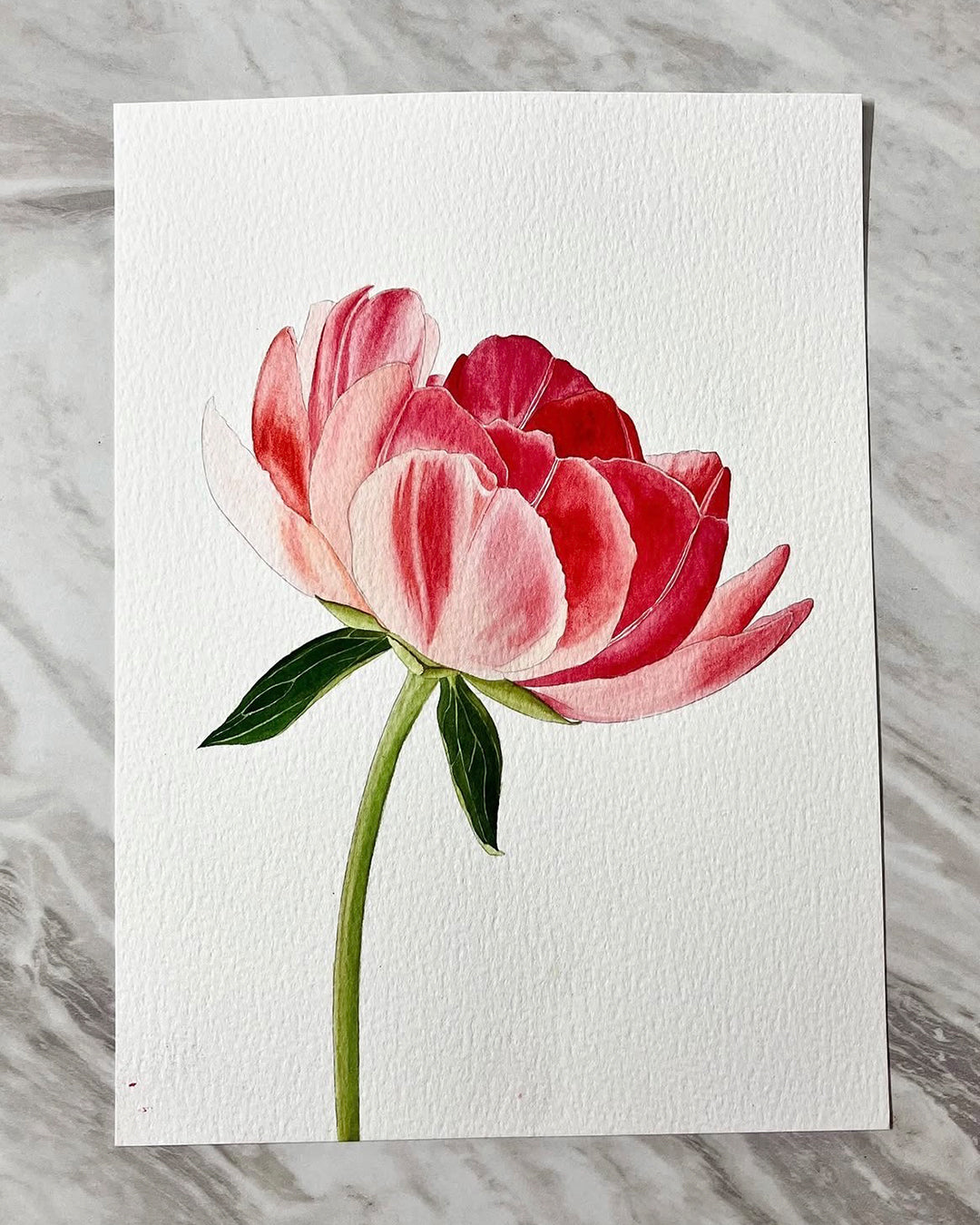 Project pack - Peony in Bloom 2