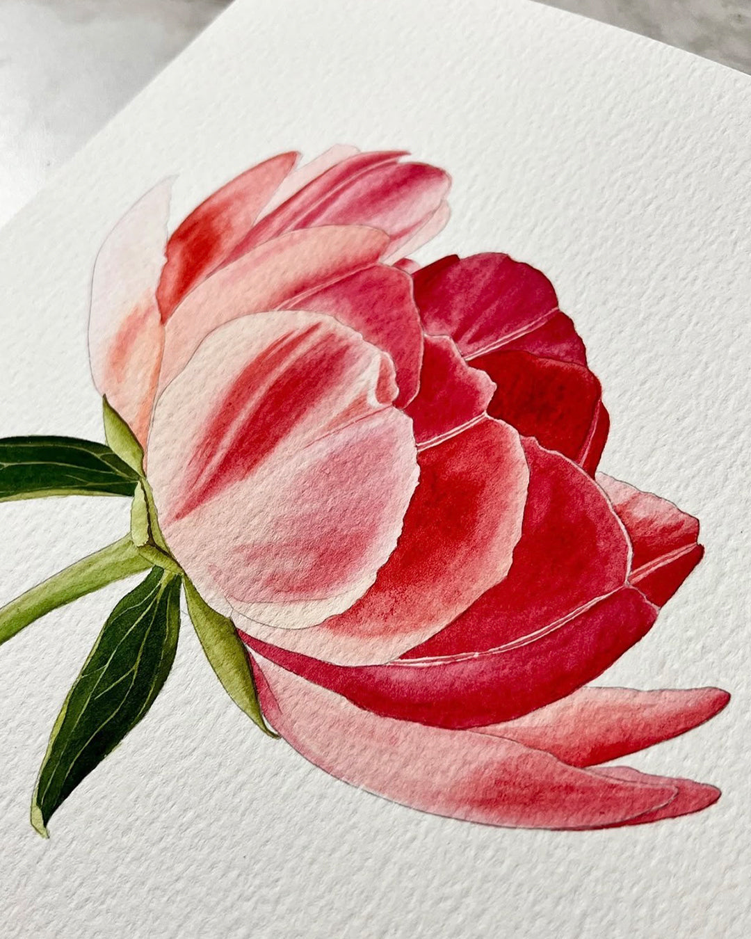 Project pack - Peony in Bloom 2
